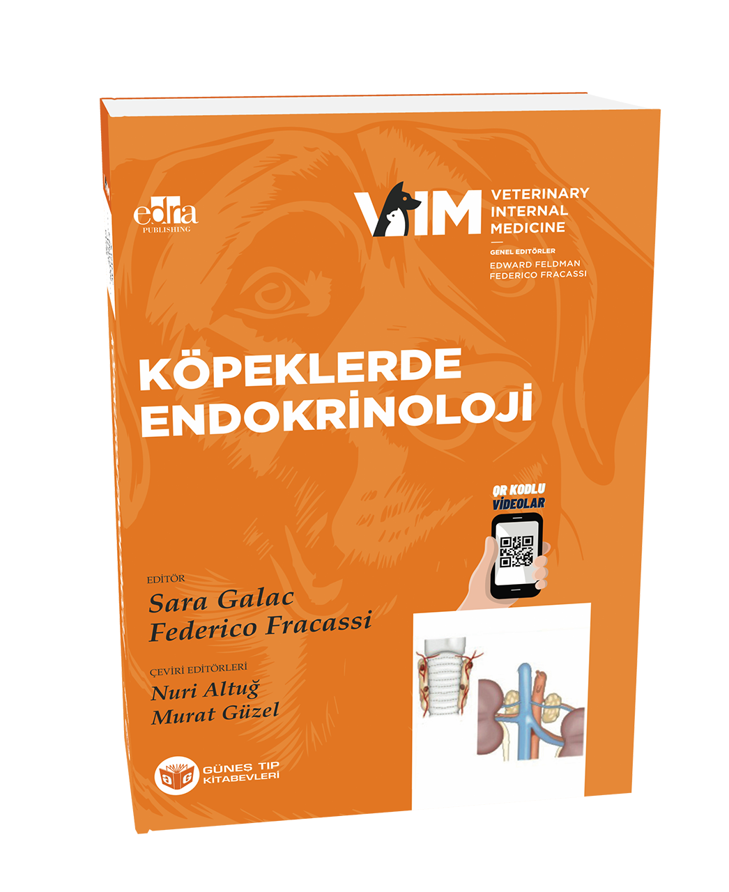 FELDMAN - Köpeklerde Endokrinoloji (QR Kodlu Videolu)