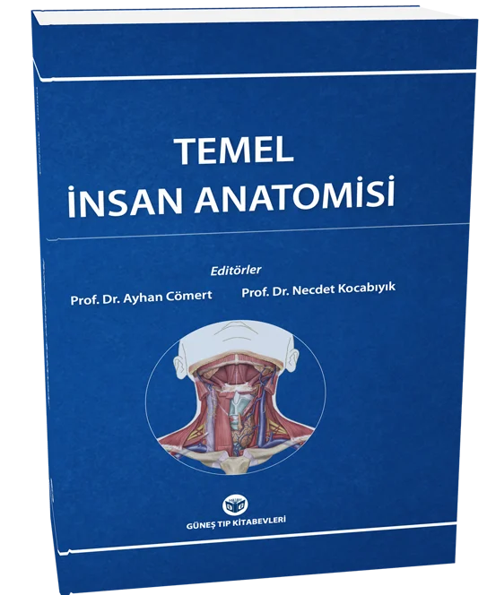 Güneş Tıp Kitabevleri Temel İnsan Anatomisi-Ayhan Cömert, Necdet Kocabıyık
