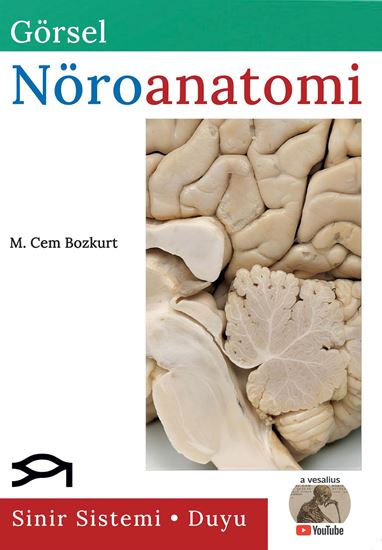 Görsel Nöroanatomi M. Cem Bozkurt Palme Yayınevi