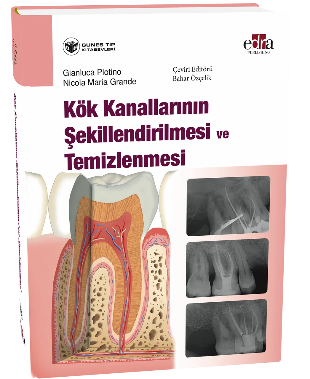 Kök Kanallarının Şekillendirilmesi ve Temizlenmesi (Bahar Özçelik)