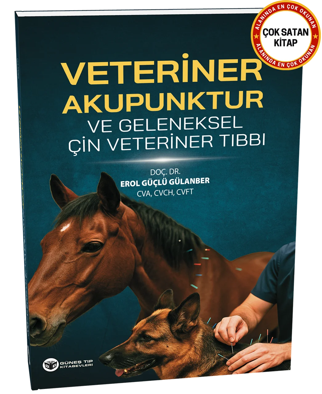 Veteriner Akupunktur ve Geleneksel Çin Veteriner Tıbbı