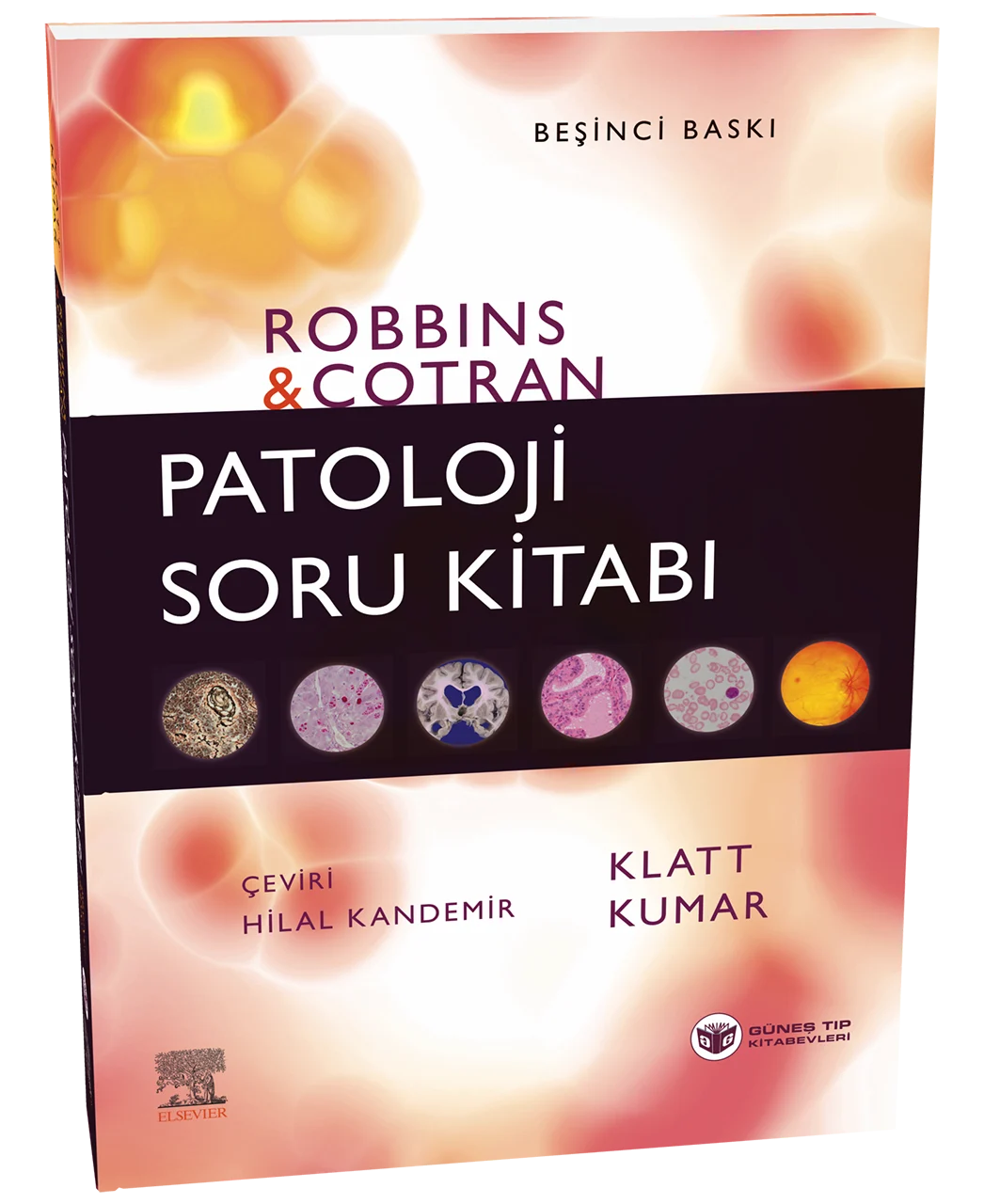 Robbins Patoloji Soru Kitabı (Kapsamlı Gözden Geçirme)