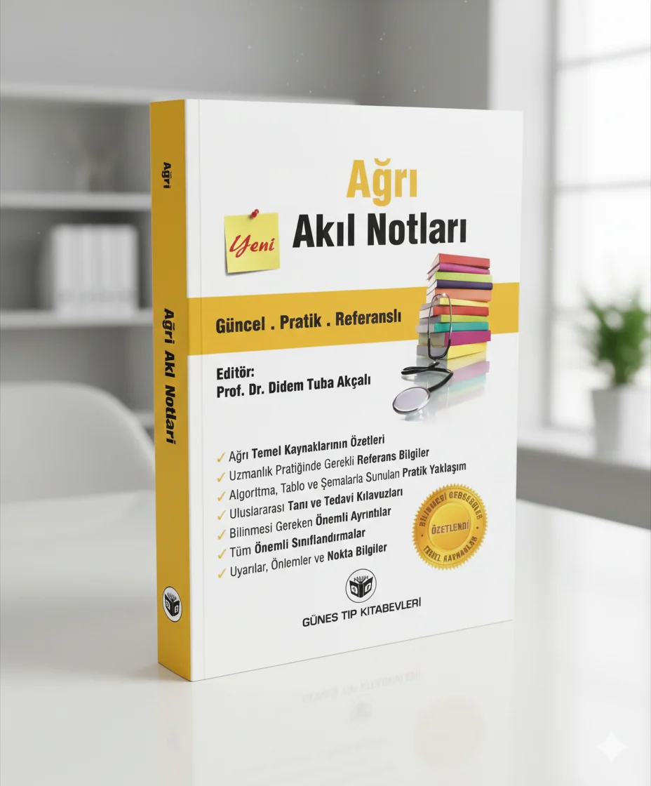 Ağrı Akıl Notları Didem Tuba Akçalı