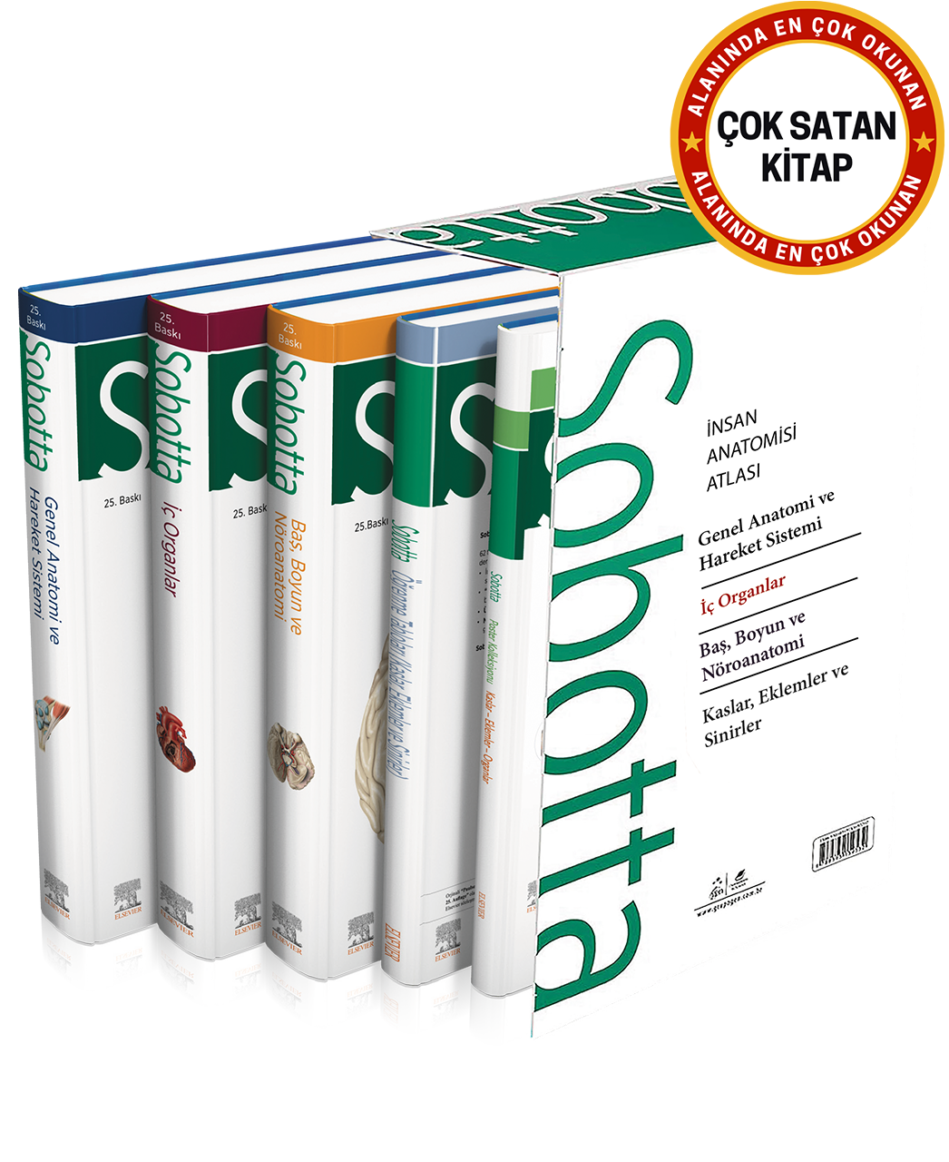 Sobotta İnsan Anatomisi Atlası Seti 4 Cilt ( 25. En Son Baskı - Türkçe 13. En Son Baskı)