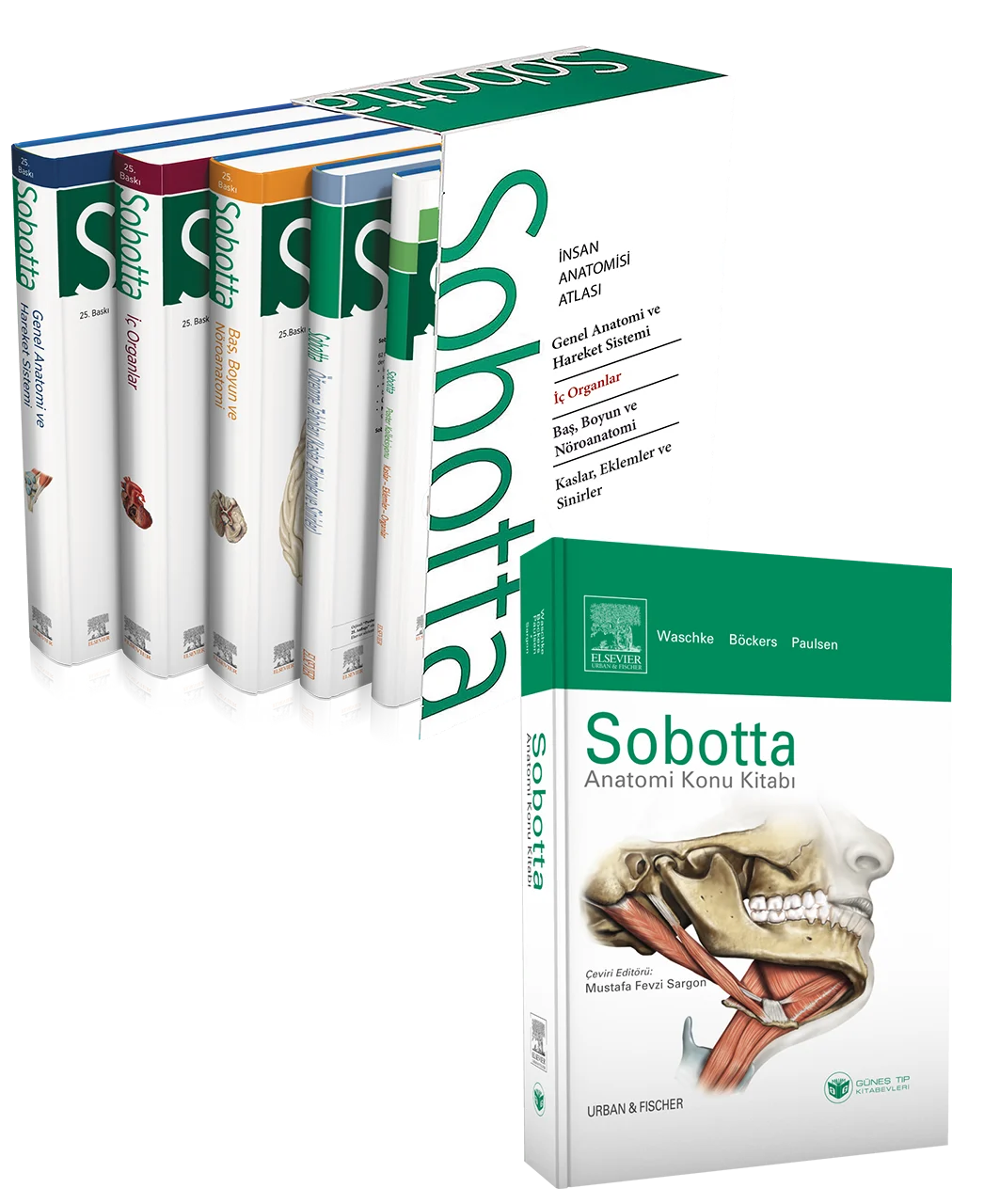 Güneş Tıp Kitabevleri Sobotta Anatomi Atlası 4 Cilt Set (13. En Son Türkçe Baskı) + Sobotta Konu Kitabı
