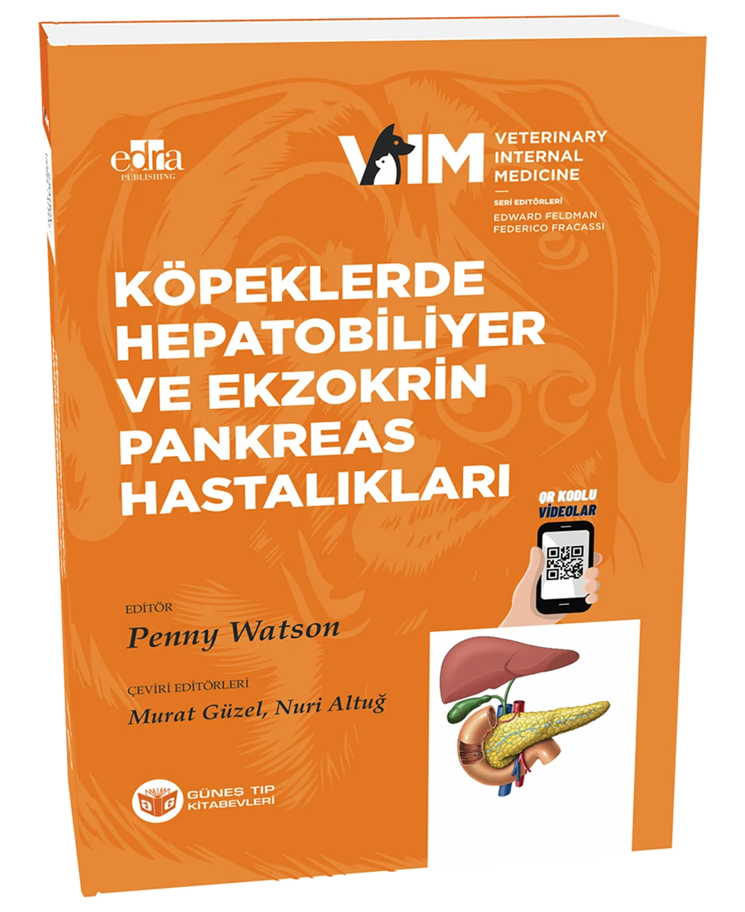 FELDMAN - Köpeklerde Hepatobiliyer ve Ekzokrin Pankreas Hastalıkları (Başar Ulaş Sayılkan)