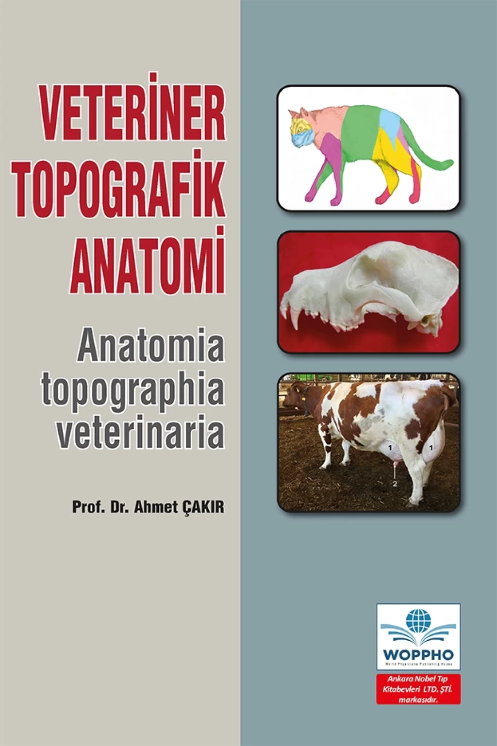 Veteriner Topografik Anatomi/Ankara Nobel Tıp Kitabevleri