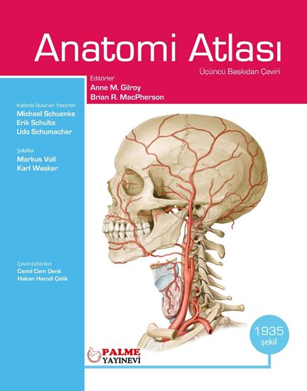 Gilroy Anatomi Atlası Anne M. Gilroy Palme Yayınevi
