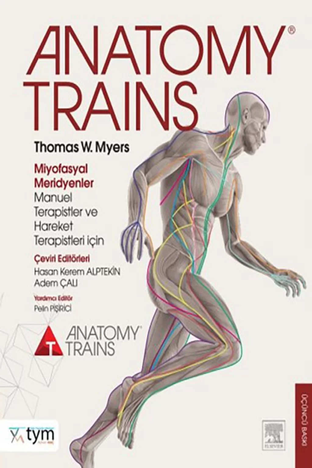 TYM Yayınevi Anatomy Trains Miyofasyal Meridyenler Manuel Terapistler ve Hareket Terapistleri İçin /Adem ÇALI