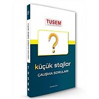 Tusem 2023 Kk Stajlar Soru