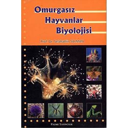 Palme Yaynclk Omurgasz Hayvanlar Biyolojisi