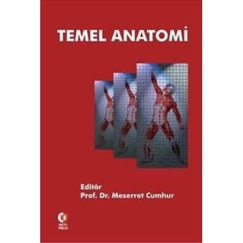 Odt Temel Anatomi Meserret Cumhur