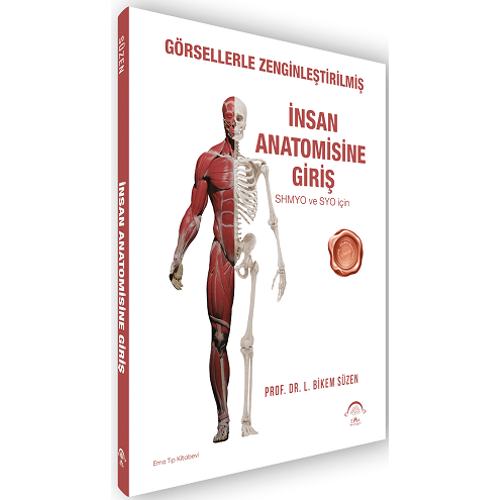 Grsellerle Zenginletirilmi nsan Anatomisine Giri Bikem Szen