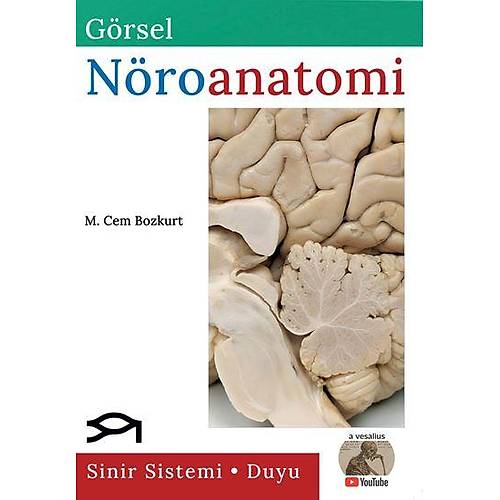 G�rsel N�roanatomi M. Cem Bozkurt Palme Yay�nevi
