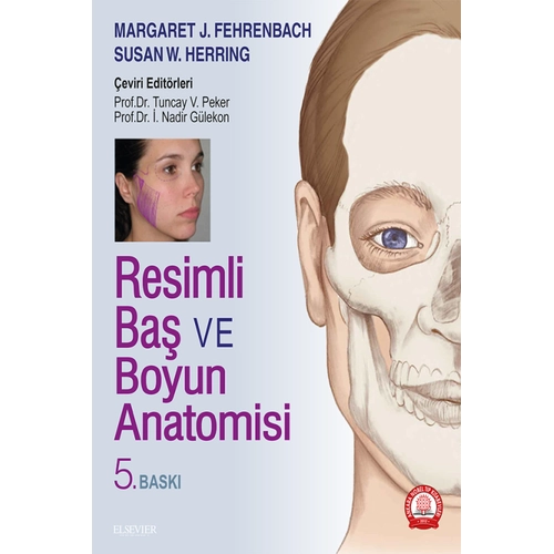 Resimli Ba ve Boyun Anatomisi