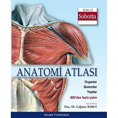 Palme Yayınevi Anatomi Atlası Sobotta Çizimleri