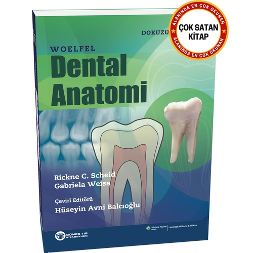 Woelfel Dental Anatomi (Hseyin Avni Balcolu)