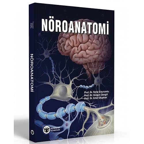 Nöroanatomi