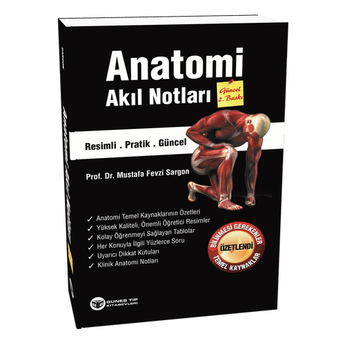 Anatomi Akl Notlar