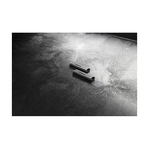 Kingston 1TB USB 3.2 Gen 2 DataTraveler Max