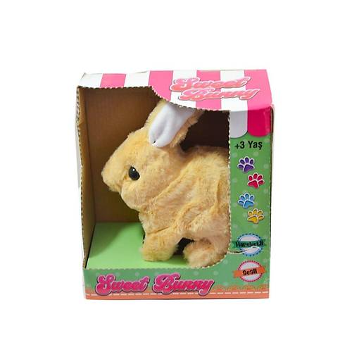 40098 Tavan Pelu Pilli-Aya Toys