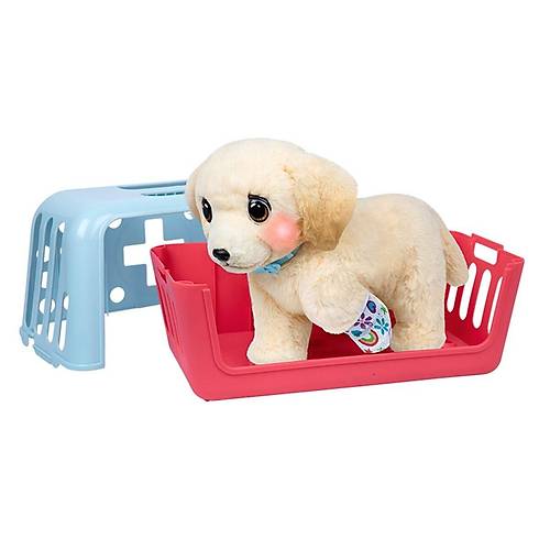 L0100000 LLP Yavru K�pek �yile�iyor - 26679