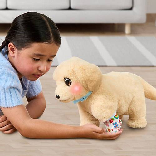 L0100000 LLP Yavru K�pek �yile�iyor - 26679