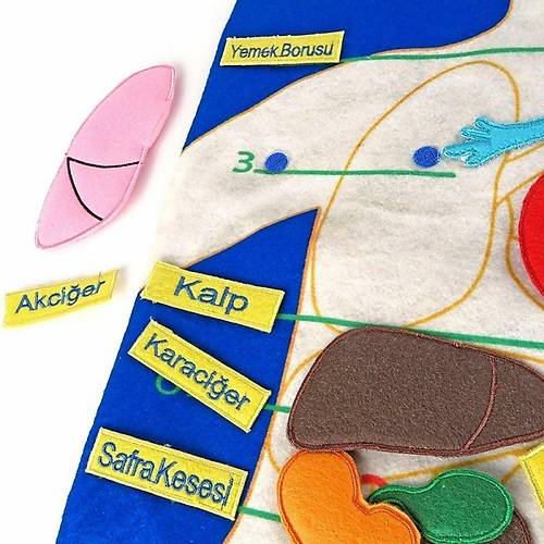 AND-5120 CIRTLI V�CUDUMUZ PANO