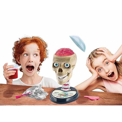 64322 Bilim ve Oyun - lgn Anatomi +7 ya