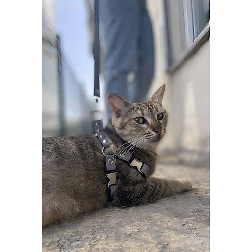 Karanlkta Yansyan Reflektrl Kedi Harness , zel Tasmal Kedi Harness - NPC005