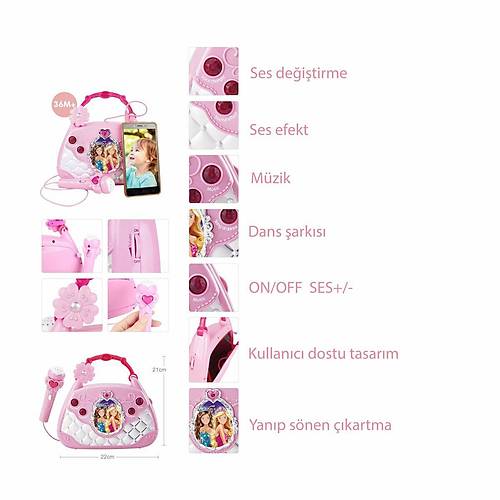 BAO-1706 Mikrofonlu Mp3 �alar Parti M�zikleri El �antas�-Vardem