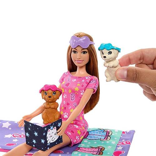 HXN01 Barbie ve K�pek�ikleri Pijama Partisi