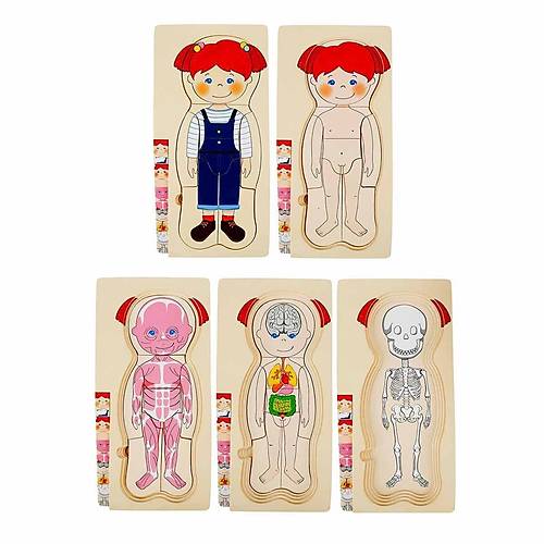 2917 SUN-Tahta Puzzle �nsan V�cudu