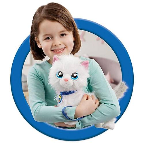 GOLI 920196 ANMAGC KED MM