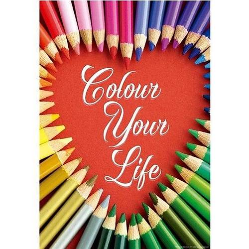 17081  Colour Your Life 500 Par�a Puzzle - Educa Puzzle