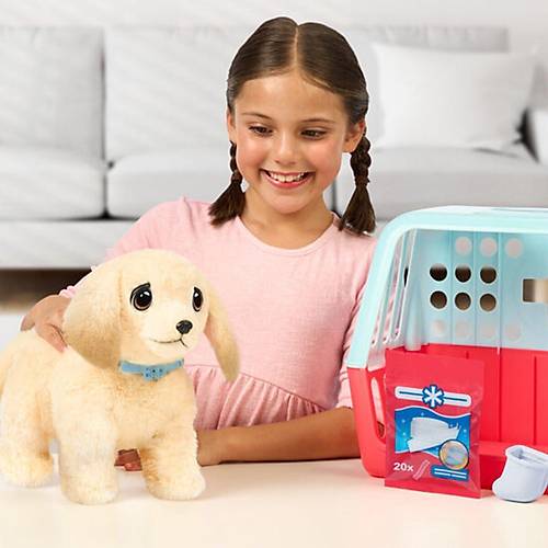 L0100000 LLP Yavru K�pek �yile�iyor - 26679