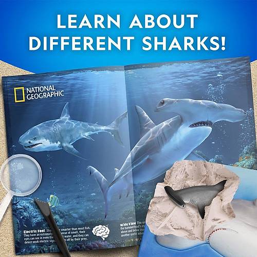 NAT07002 National Geographic Kpek Bal Bulma Kiti - TRHAMSHDIG +6 ya