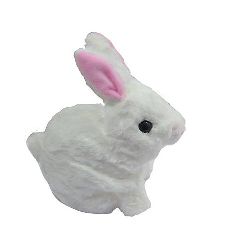 40098 Tav�an Pelu� Pilli-Aya Toys