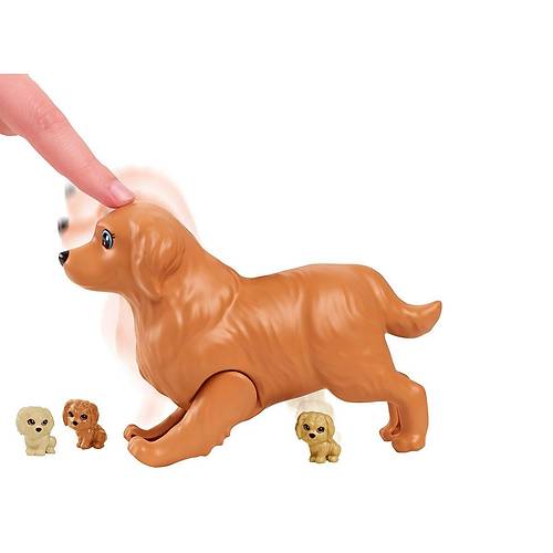 HCK75 Barbie ve Yeni Do�an K�pekler Oyun Seti, Barbie ve Hayvanlar�