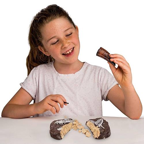 NAT06002 National Geographic Dino Kaz� Kiti - RTNGDINO2 +8 ya�