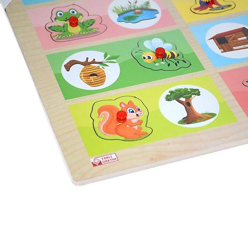 ONY-363-364 Ah�ap Tutmal� E�le�tirme Hangi Hayvan Nerede Ya�ar -Ony�l