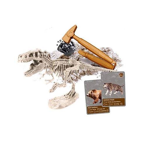 64839 Bilim ve Oyun - D�nyadaki Ya�am�n Tarihi