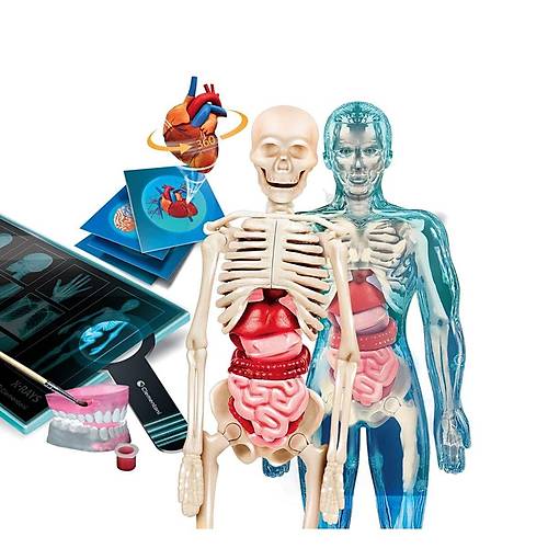 64474 Bilim ve Oyun - S�per Anatomi +8 ya�