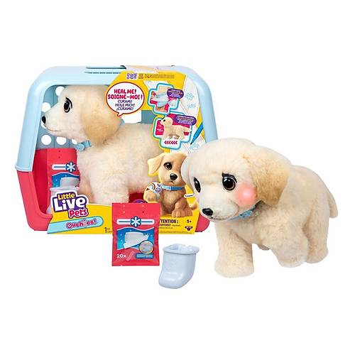 L0100000 LLP Yavru K�pek �yile�iyor - 26679