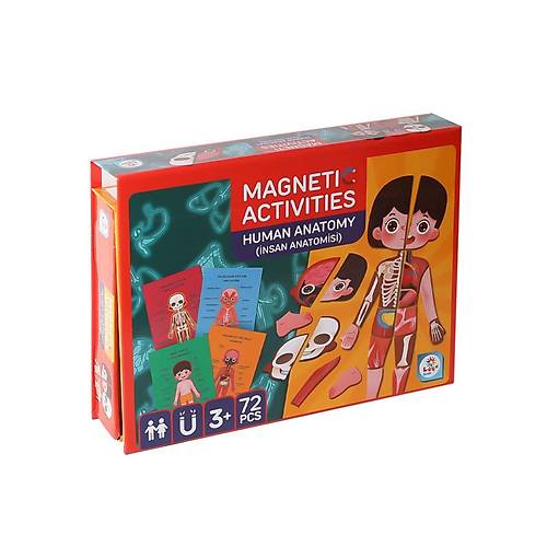 LC986 Manyetik Aktivite �nsan Anatomisi -La�o