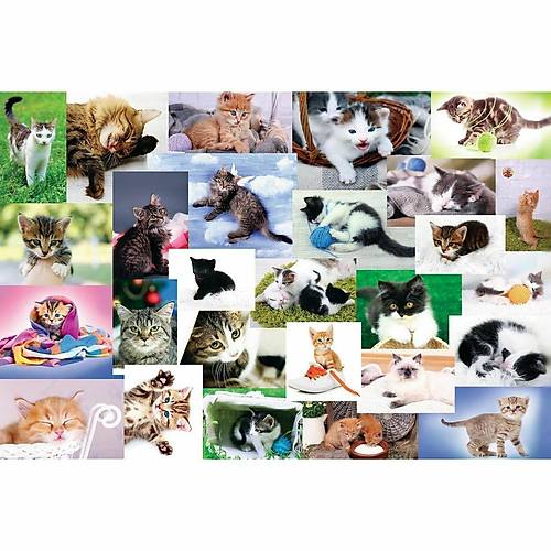 17332 Kedi D�nyas� 60 Par�a Puzzle -Trefl Puzzle