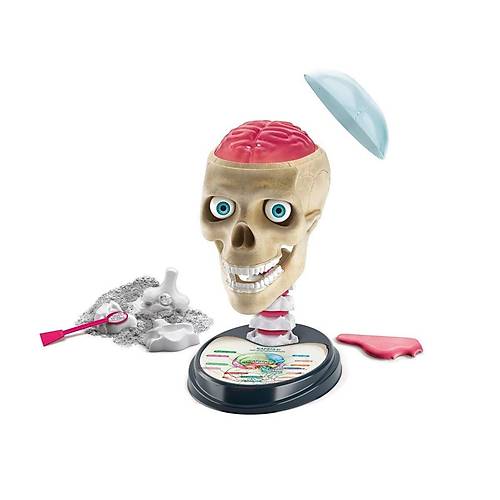 64322 Bilim ve Oyun - lgn Anatomi +7 ya