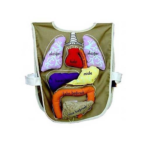 AND-5011 ORGAN �NL���