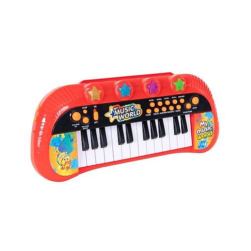 4381 Elektronik Org 24 Tu�