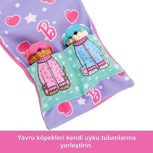 HXN01 Barbie ve K�pek�ikleri Pijama Partisi